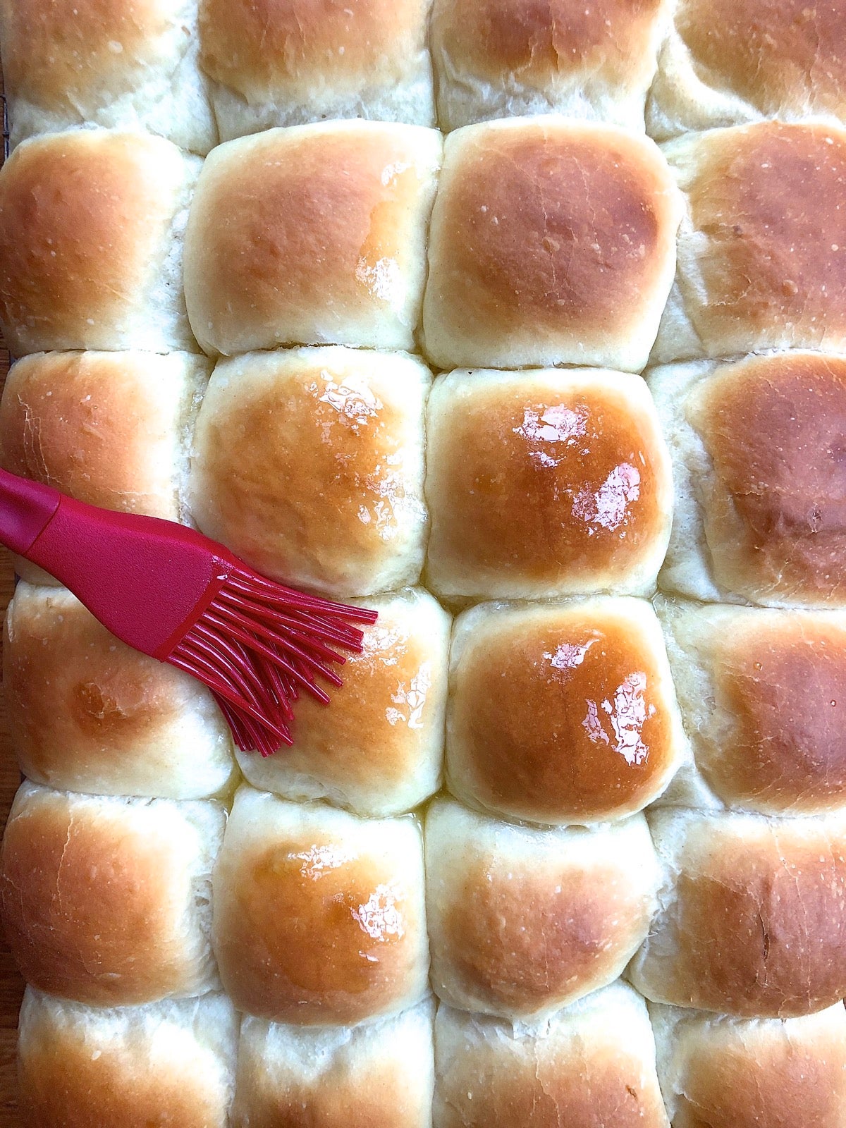 Amish Dinner Rolls King Arthur Baking 7608